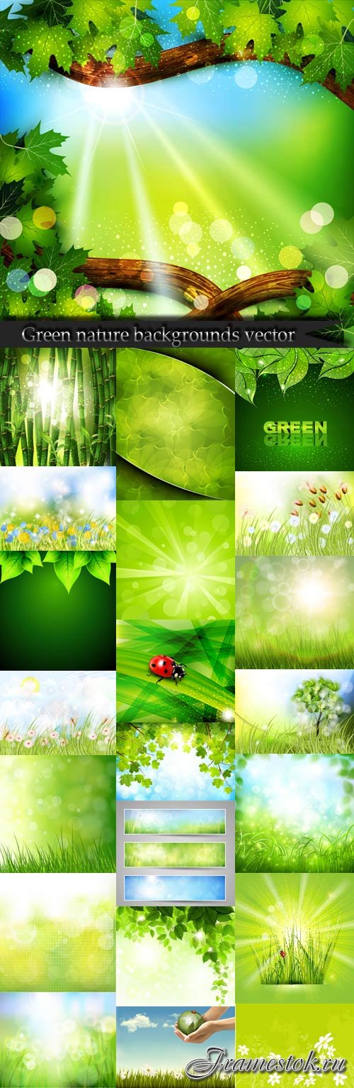 Green nature backgrounds vector