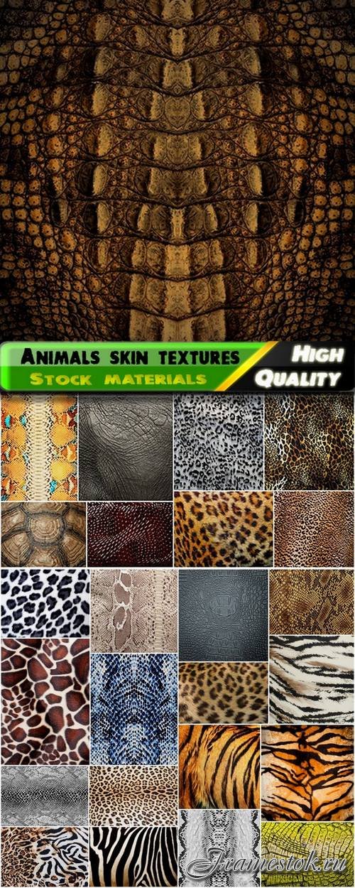 Wild animals skin textures - 25 HQ Jpg