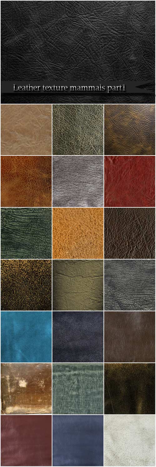 Leather texture mammals part 1