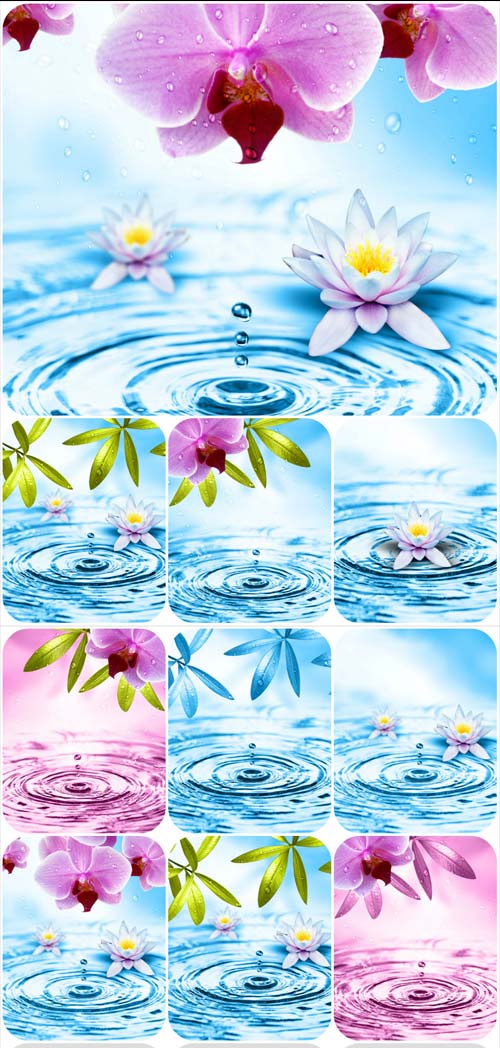 Awesome flowers and water