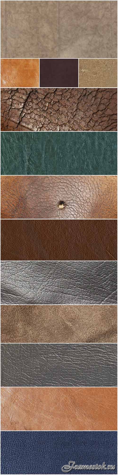 Leather texture mammals part 3