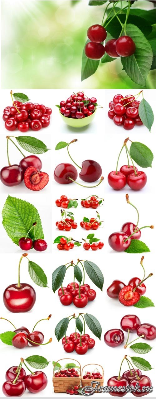 Ripe juicy cherries raster graphics