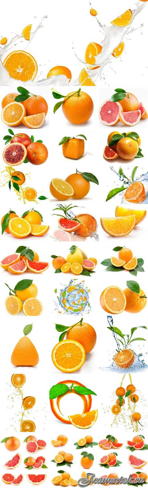 Juicy fresh oranges raster graphics