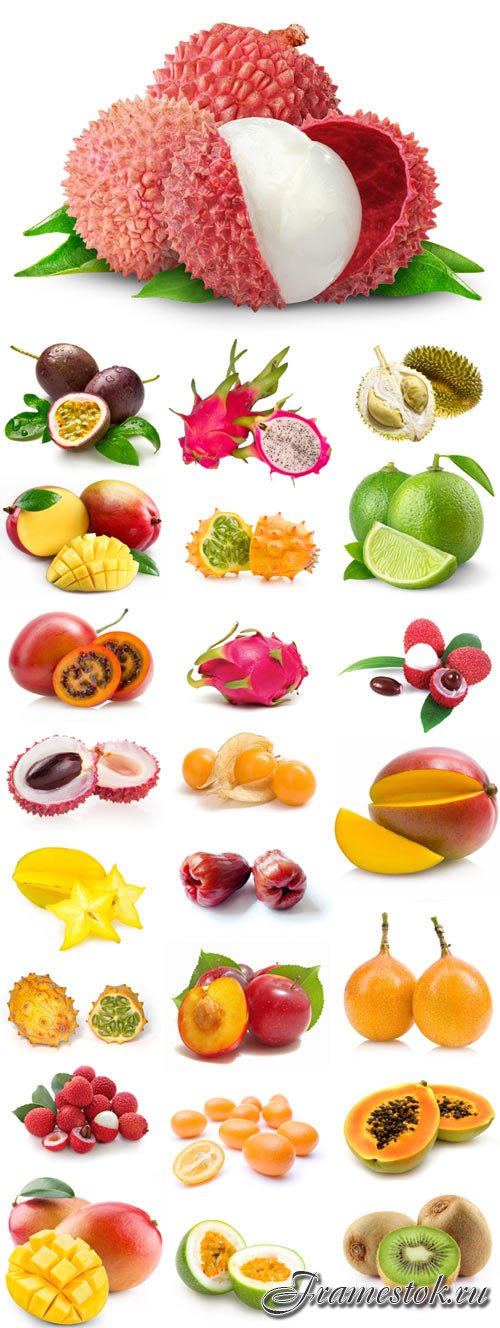 Tropical fruits raster graphics