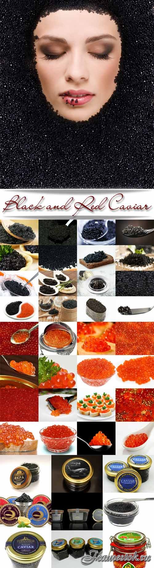 Black and Red Caviar raster graphics