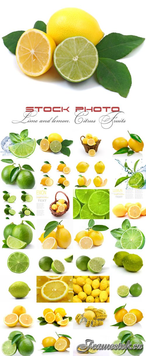 Lime and lemon. itrus Fruits