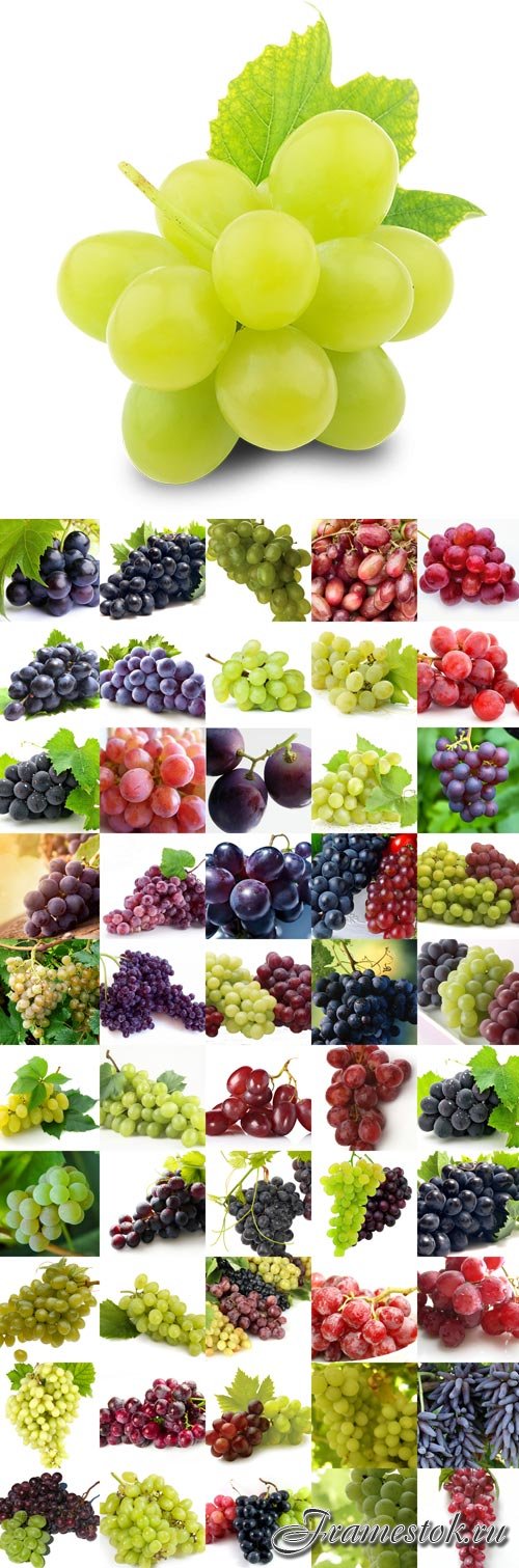 Sweet grapes Raster Graphics