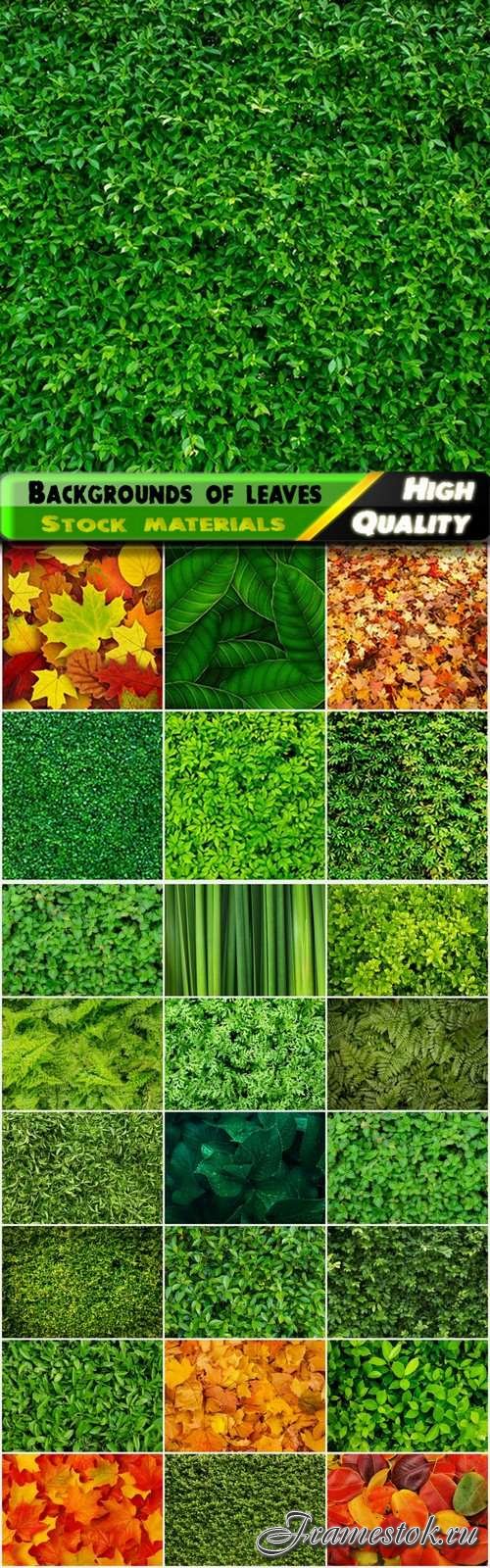 Backgrounds of green and yellow leaves and leaf - 25 HQ Jpg