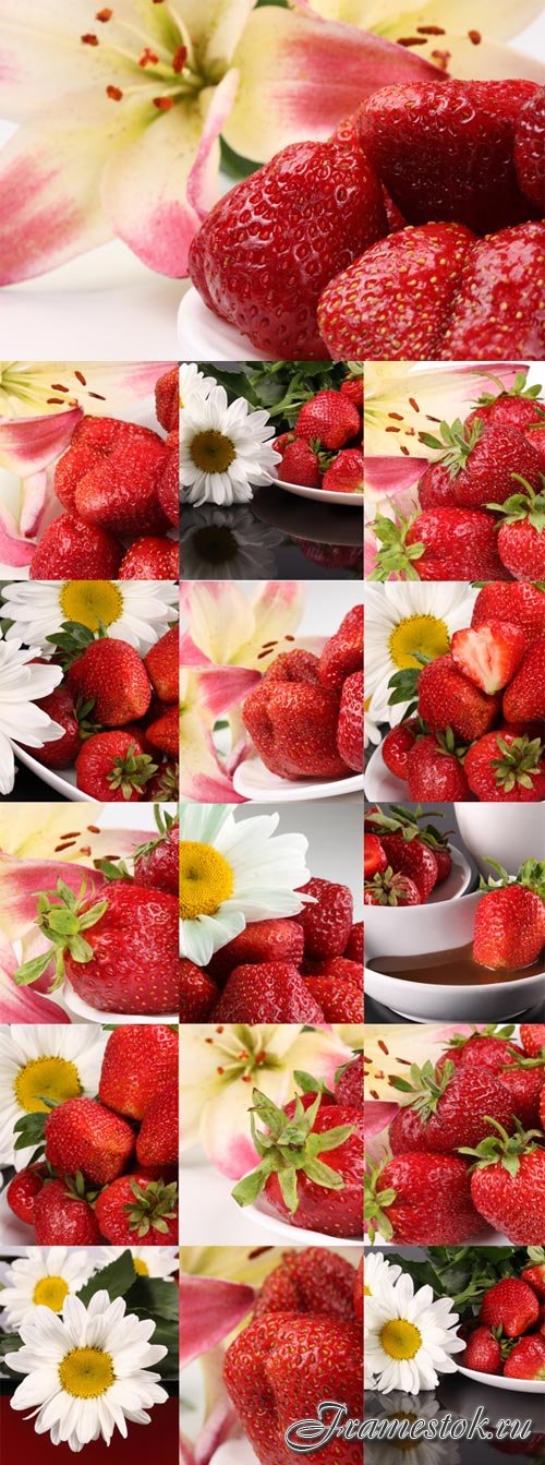Juicy strawberry with daisies and lilies