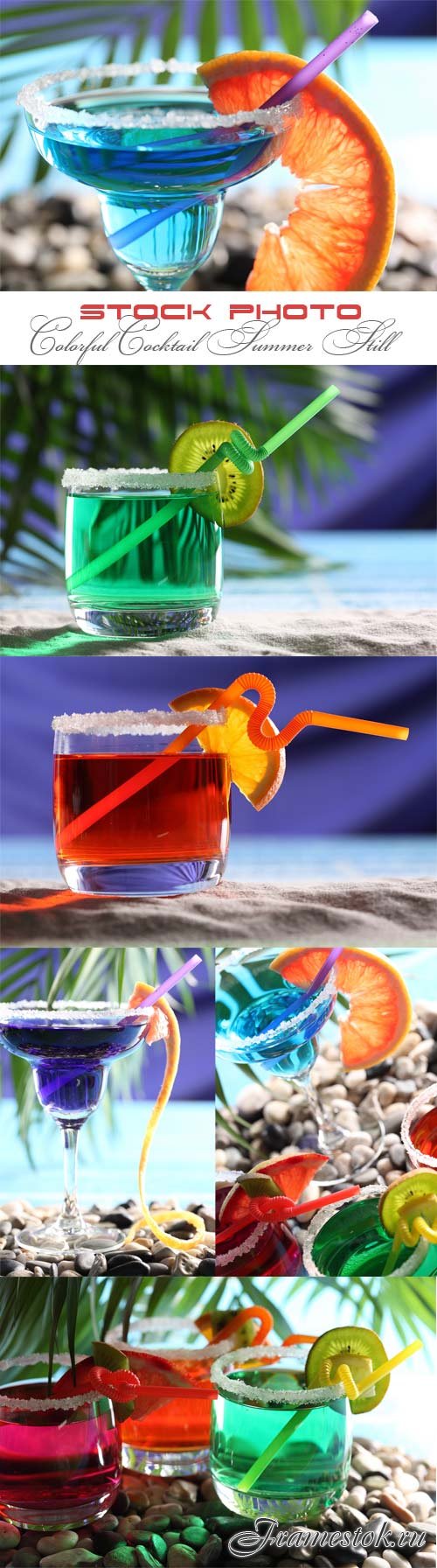 Colorful Cocktail Summer Still