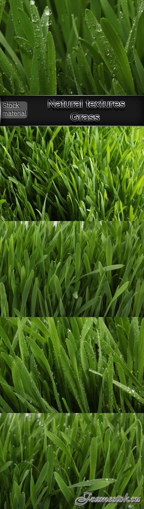 Natural textures. Grass