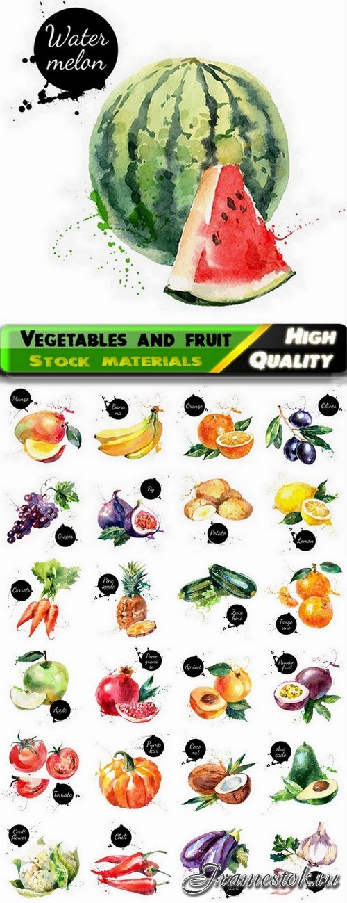 Watercolor vegetables and fruit creative atr - 25 Eps