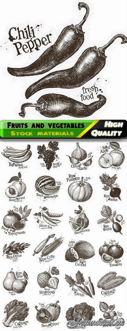 Fruits and vegetables hand drawn illustration - 25 Eps