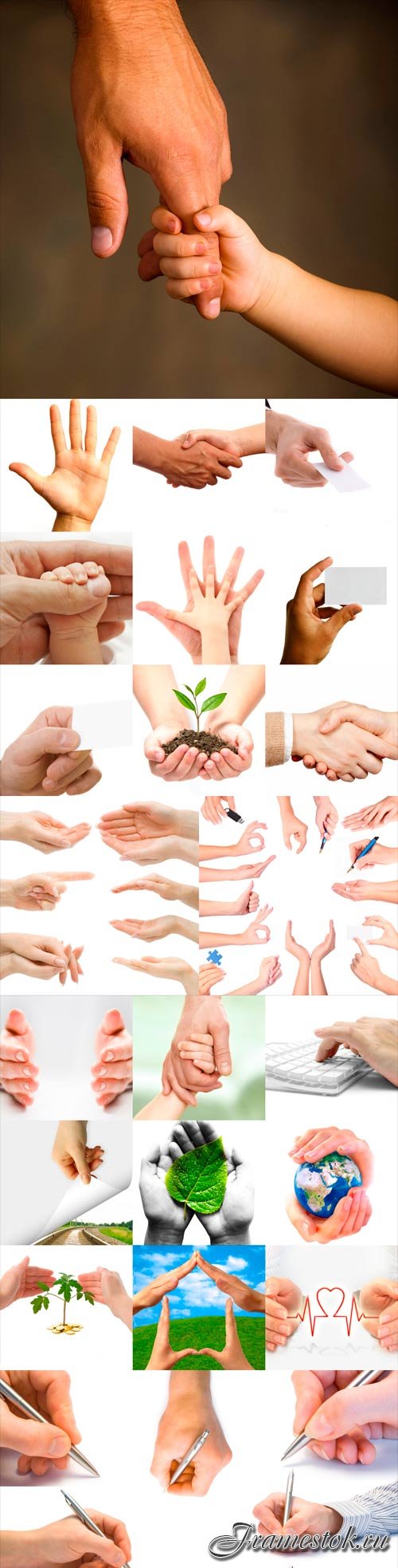 Human hands raster graphics