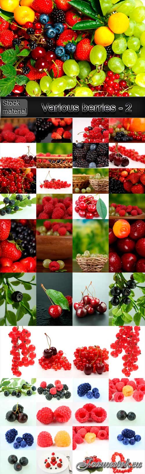 Various berries - 2