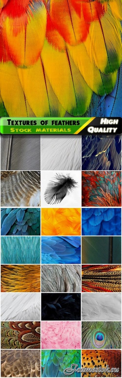 Textures and backgrounds of feathers of birds - 25 HQ Jpg