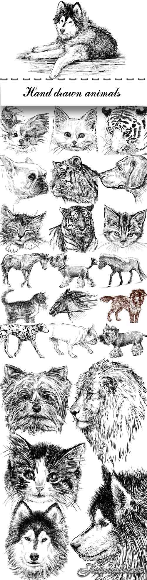 Hand drawn animals vector set