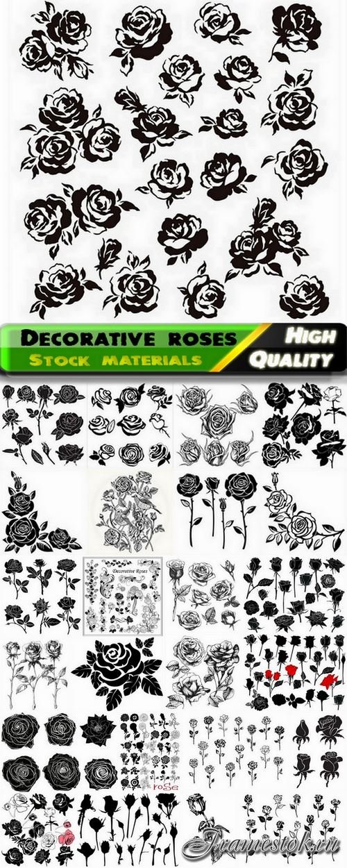 Beautiful roses for page decoration - 25 Eps