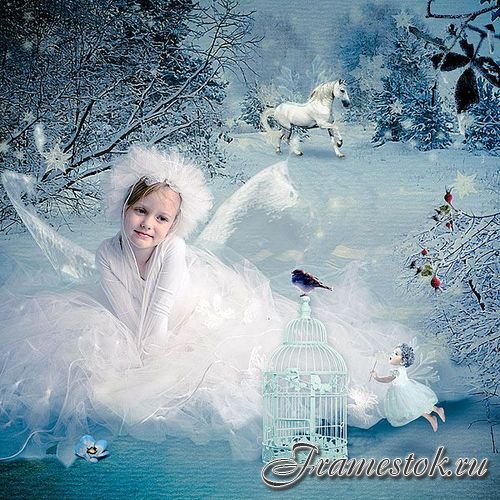 - - Winter fairy