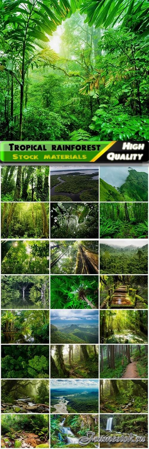 Tropical rainforest and jungle landscapes - 25 HQ Jpg