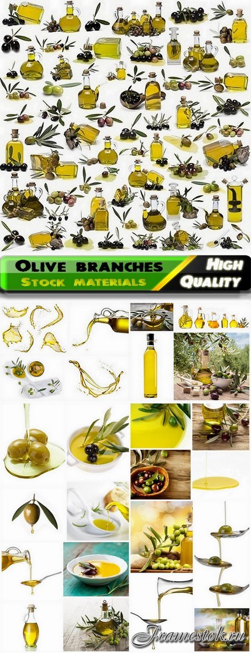 Olive branches and oil - 25 HQ Jpg