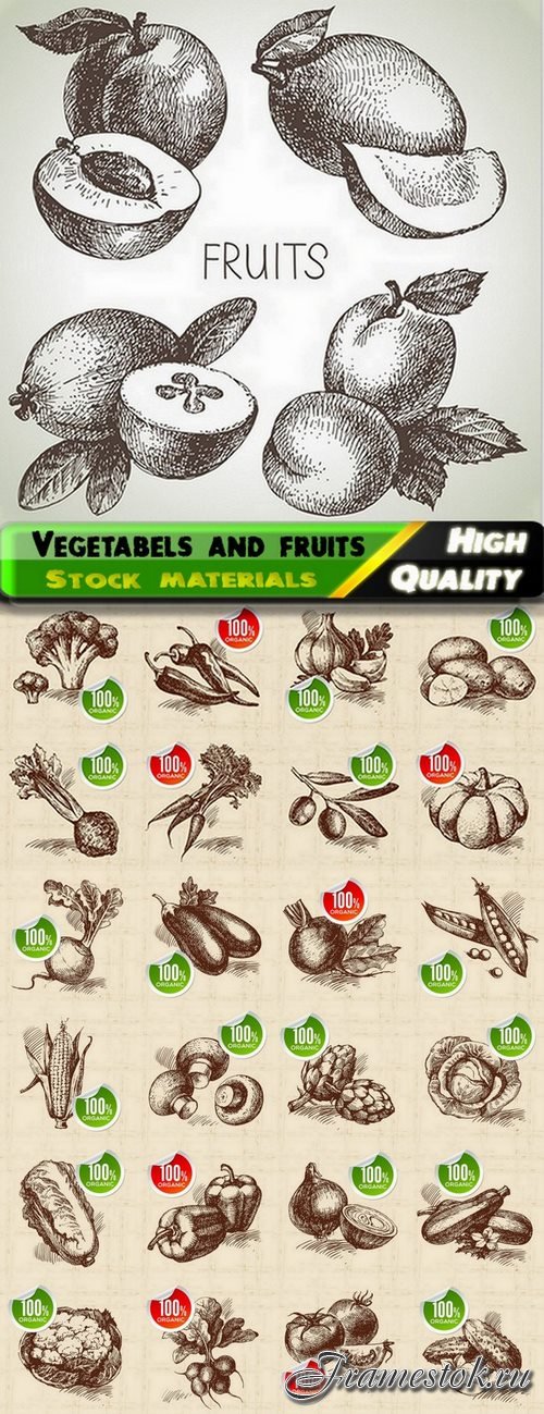 Hand drawn vegetabels and fruits - 25 Eps