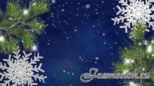 Christmas background with fir branches footage snowflakes