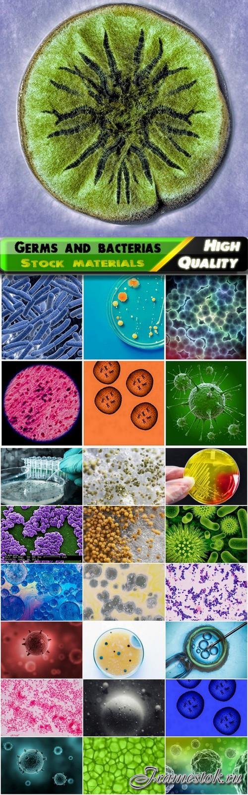 Medical themes with germs and bacterias - 25 HQ Jpg