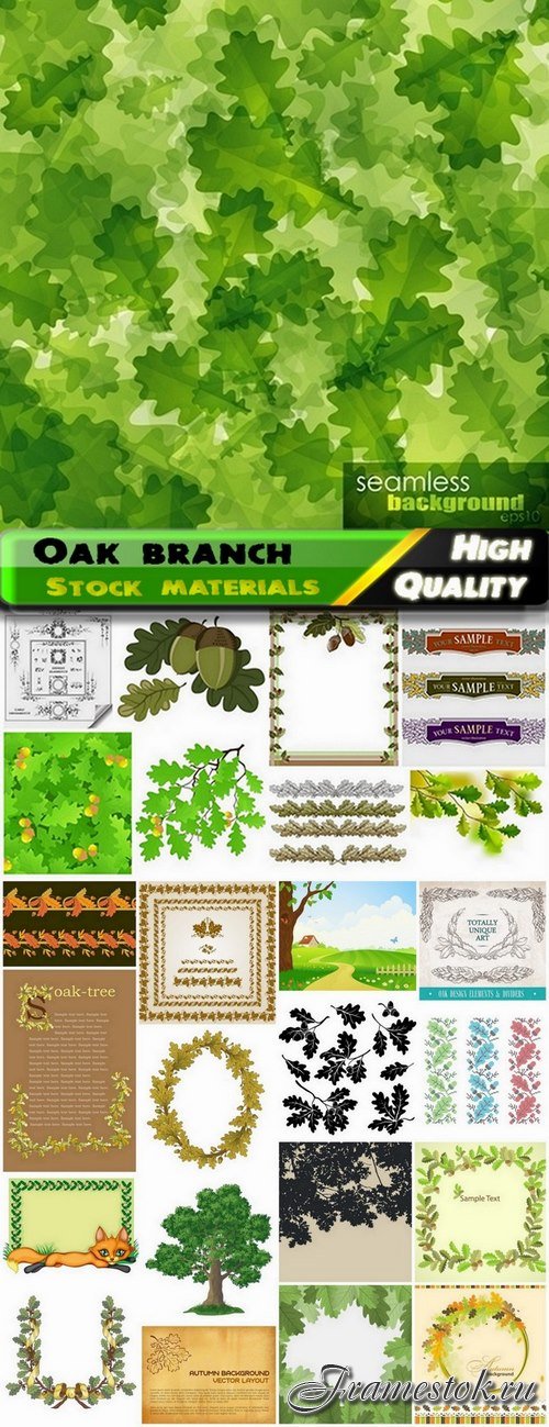 Branch with leaves and decoration elements of oak - 25 Eps