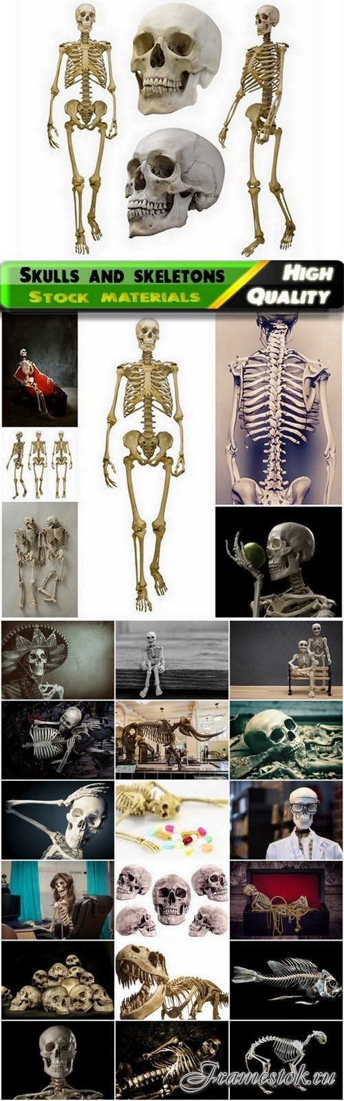 Scary skulls and skeletons of people and animals - 25 HQ Jpg