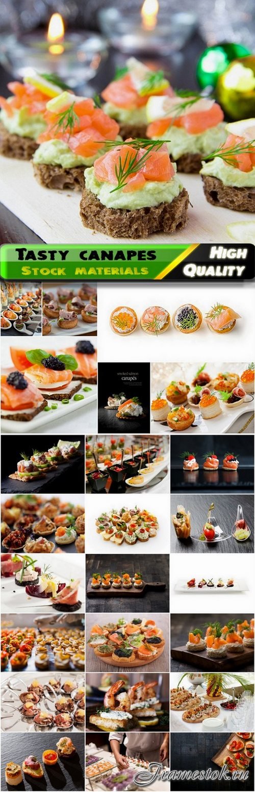 Tasty canapes with smoked salmon - 25 HQ Jpg