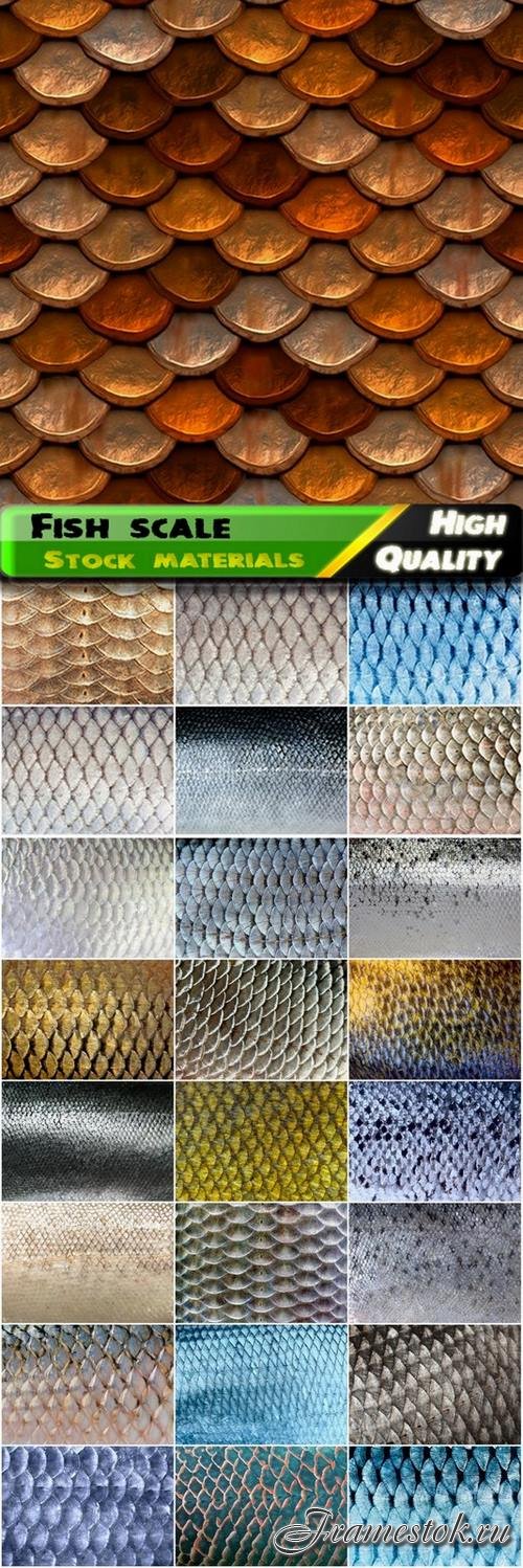Texture of fish glitter scale - 25 HQ Jpg