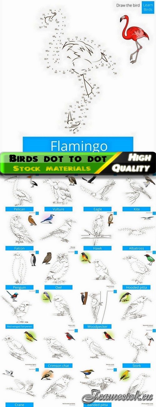 Learn to draw birds dot to dot - 25 Eps