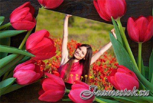  Рамка для фотошопа - Весенние цветы 