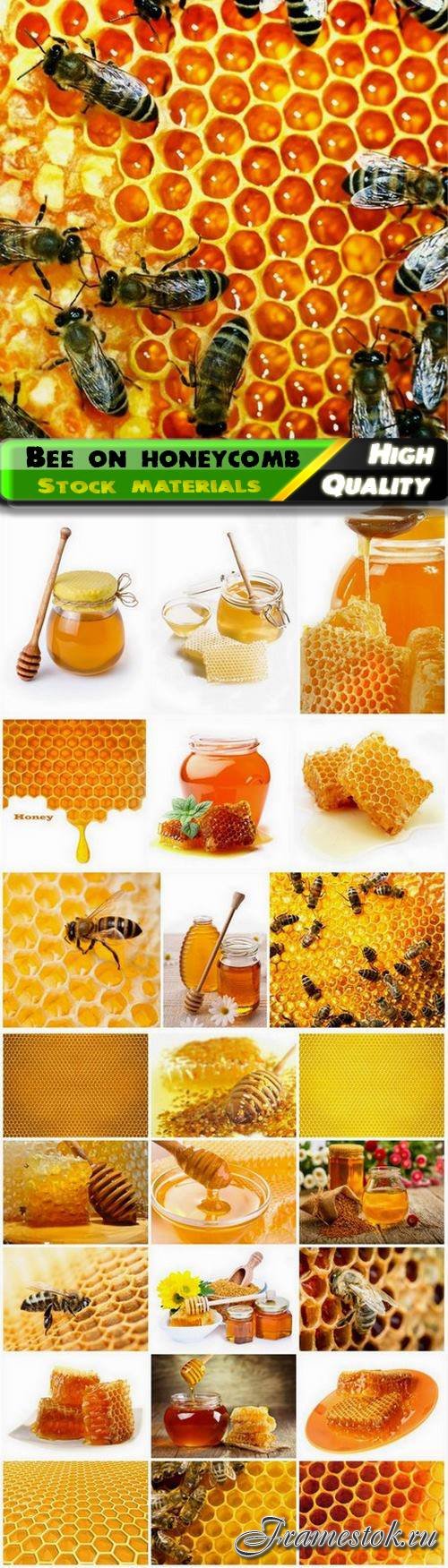 Bee on honeycomb and sweet useful honey - 25 HQ Jpg