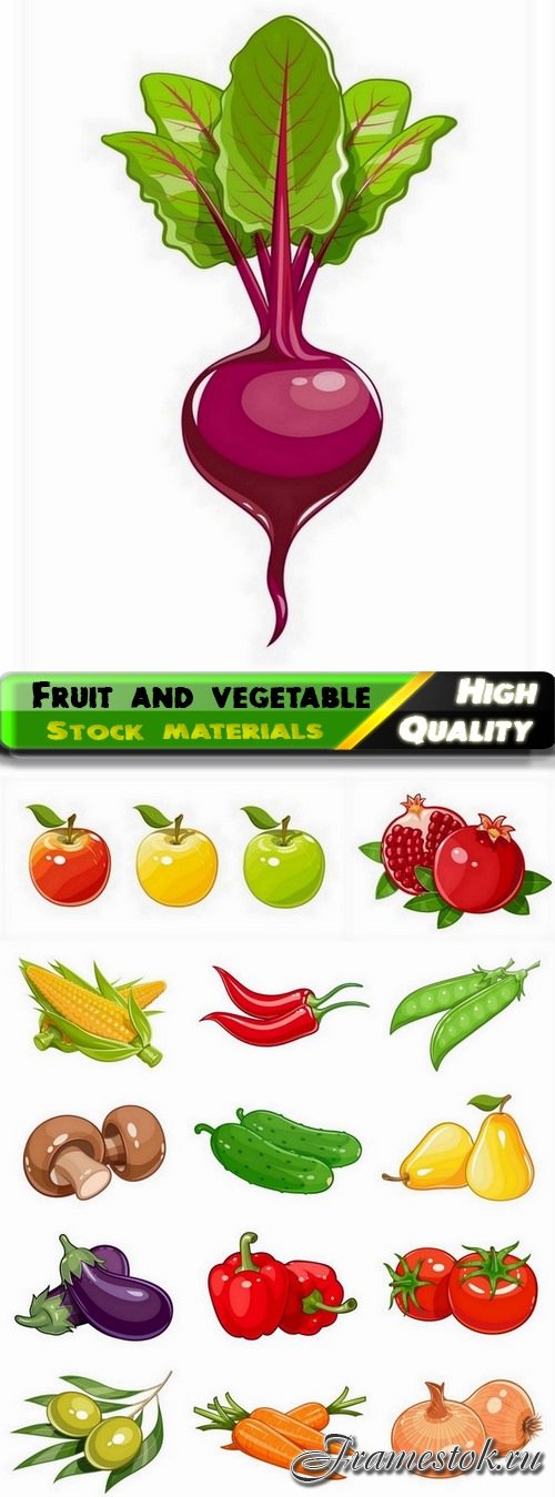Illustration of realistic fruit and vegetable - 15 Eps
