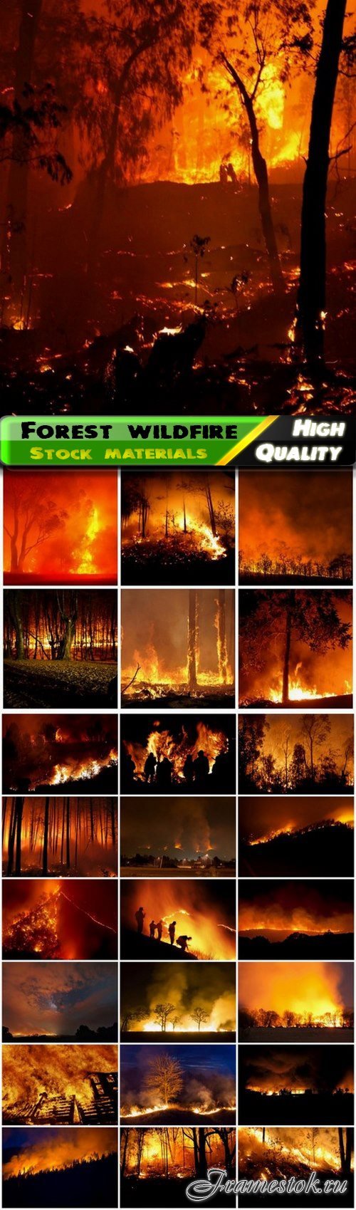 Nature landscape of forest wildfire and fire flames - 25 HQ Jpg