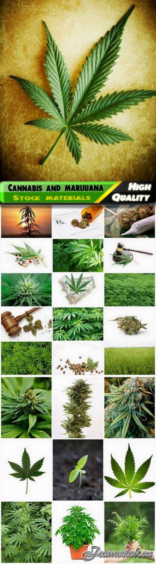 Cannabis leaf and bush and drug marijuana - 25 HQ Jpg