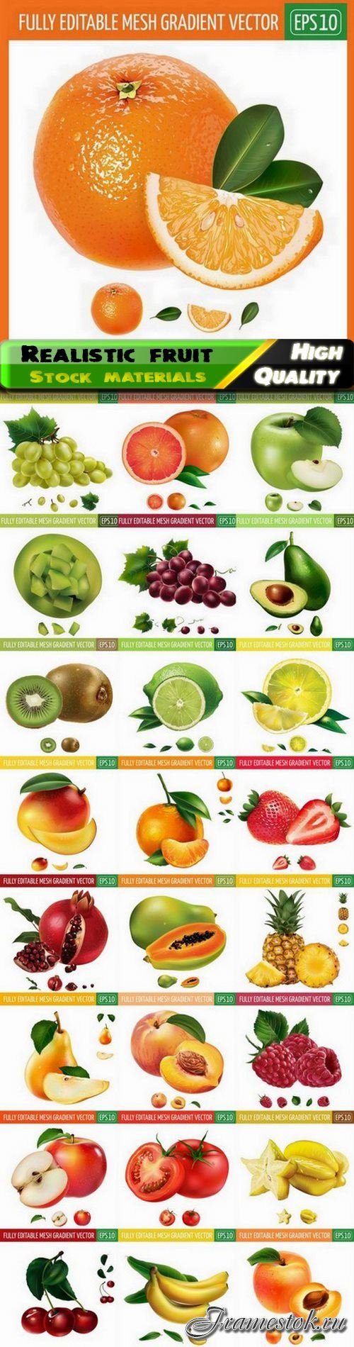 Illustration of realistic fruit and vegetable 2 - 25 Eps