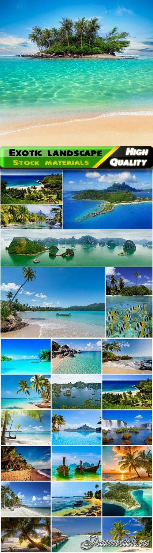 Exotic landscape with beach and palm tree and paradise - 25 HQ Jpg