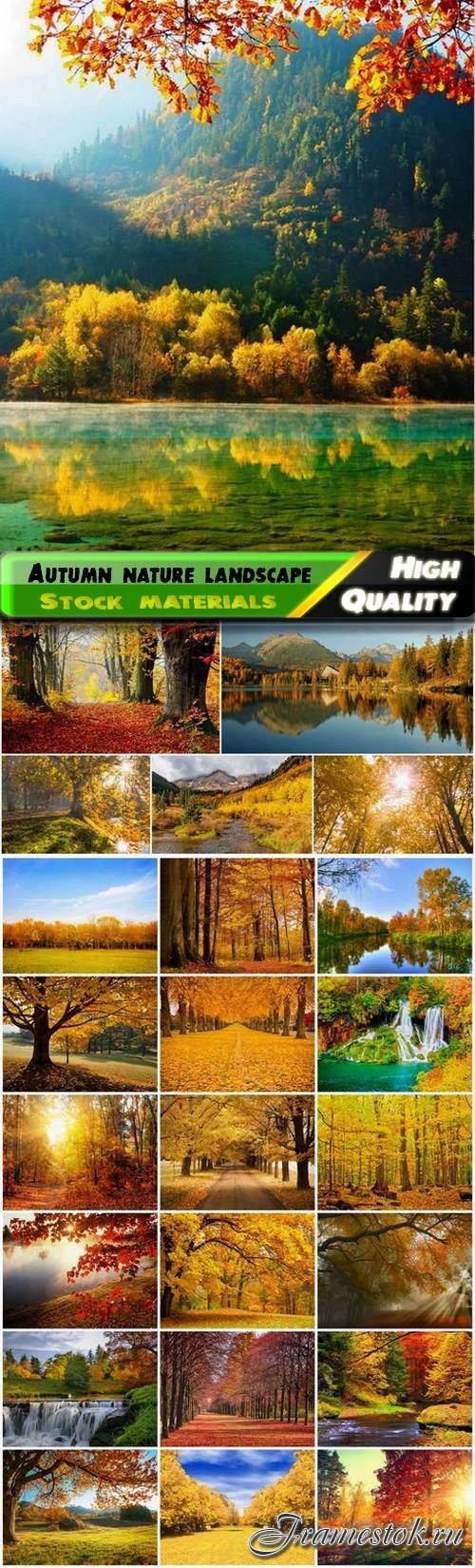 Autumn nature landscape with tree and yellowed leaves - 25 HQ Jpg
