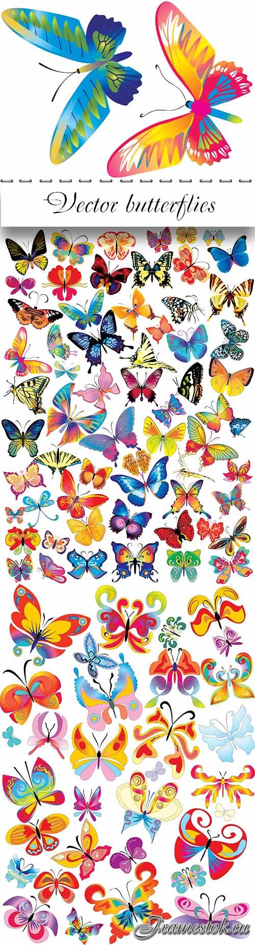 Vector butterflies for design