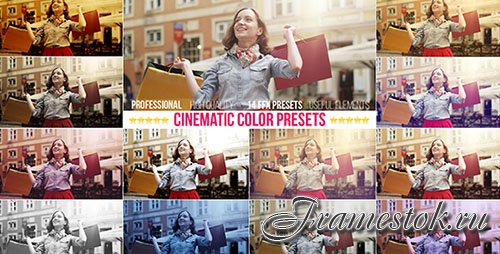 Cinematic Color Presets - After Effects Presets & Project (Videohive)