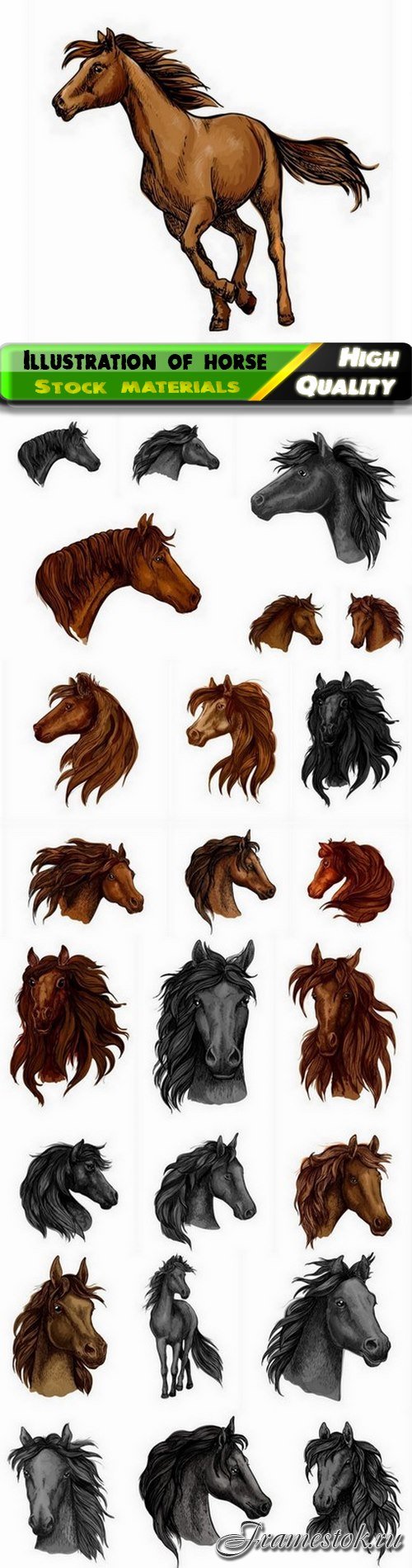 Illustration of horse head portrait with waving mane - 25 Eps