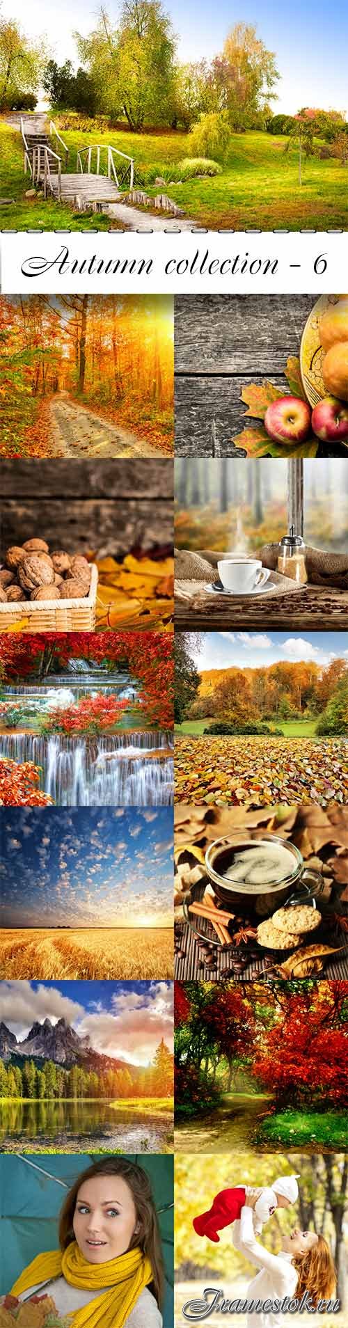 Autumn collection raster graphics - 6