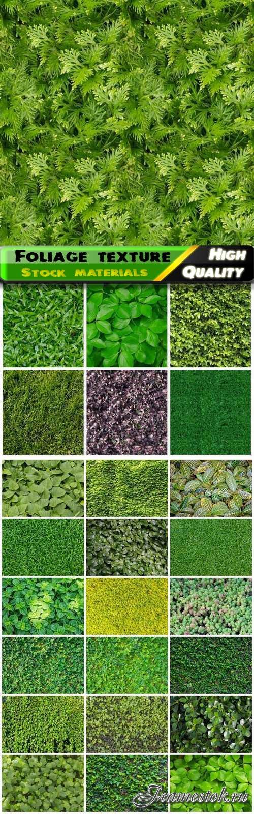 Green seamless foliage and grass eco nature texture - 25 HQ Jpg