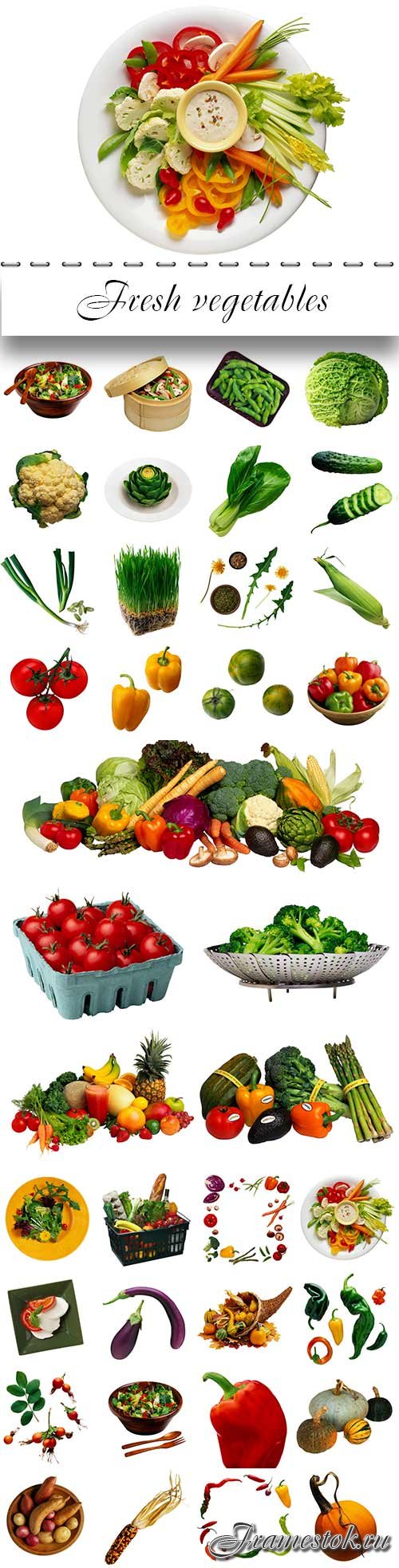Fresh vegetables proper nutrition