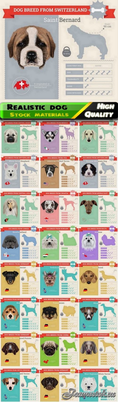 Realistic vector dog and pet illustration of different breeds 25 Eps
