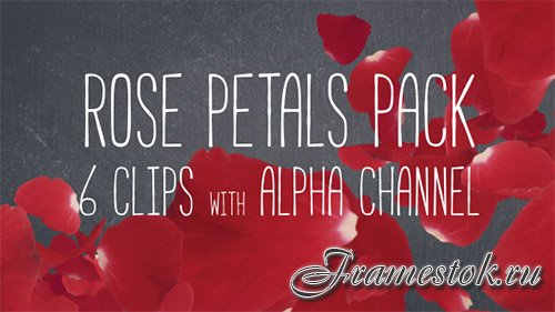 Rose Petals Pack - Motion Graphics (Videohive)