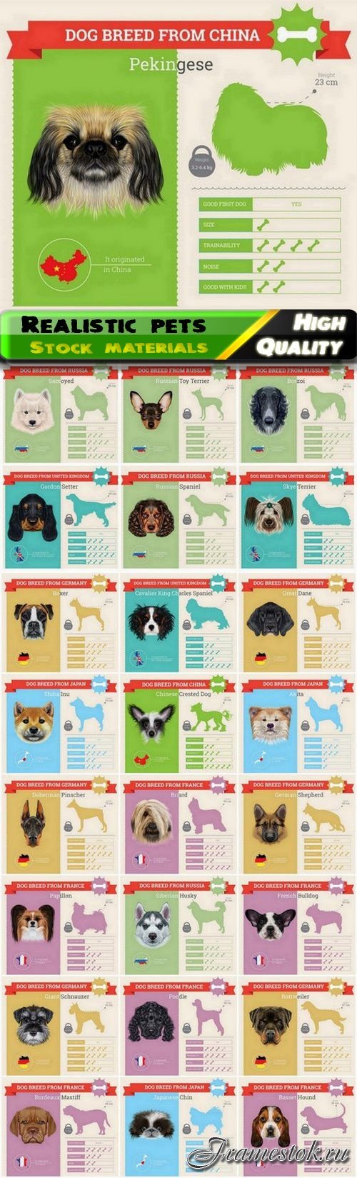 Realistic vector dog and pet illustration of different breeds 2 25 Eps